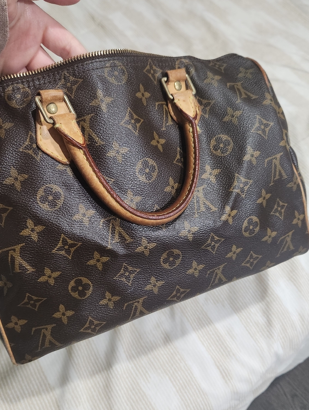 Louis Vuitton Speedy 25 Bag